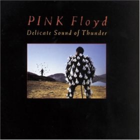 Pink Floyd – Delicate Sound Of Thunder (1988)