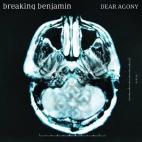 Breaking Benjamin – Dear Agony (2009)
