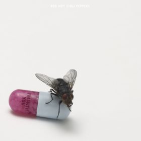 Red Hot Chili Peppers – I’m with You (2011)