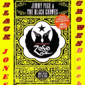 Jimmy Page – Jones Beach: Live N.Y. (2000)