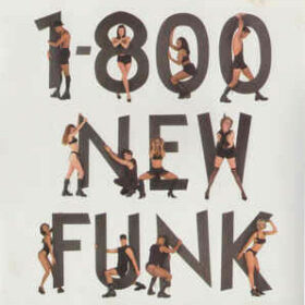 Prince – 1-800 New-Funk (1994)