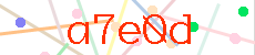Verificador