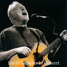 David Gilmour – David Gilmour in Concert (2002)