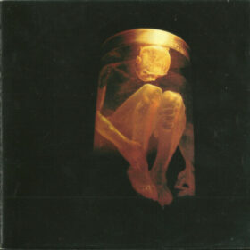 Alice In Chains – Nothing Safe, The Best Of The Box (1999)